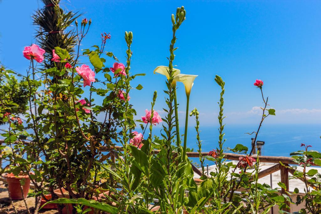 Villa Matilde Amalfi Ngoại thất bức ảnh